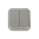  Image Commande double interrupteur ou poussoir lumineux Plexo composable gris