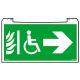  Image Porte-pictogramme signalisation Practice Evolution