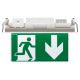  Image BAES Uralife V Évacuation SATI Adressable - pose plafond encastrée ou saillie