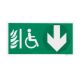  Image Pictogramme signalisation  rigide pour DBR