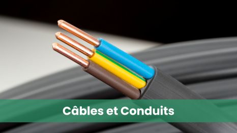 Câbles et Conduits